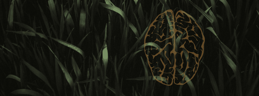 Copie de QUIZ (Couverture Facebook) Quiz